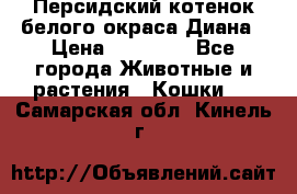 Персидский котенок белого окраса Диана › Цена ­ 40 000 - Все города Животные и растения » Кошки   . Самарская обл.,Кинель г.